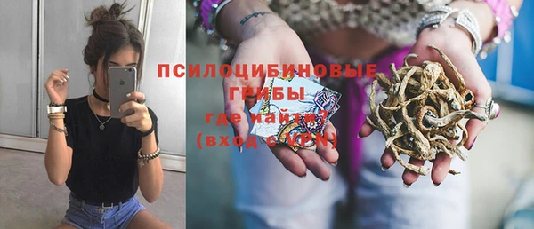2c-b Арсеньев