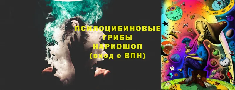 Псилоцибиновые грибы мухоморы  shop клад  Кузнецк  где продают  