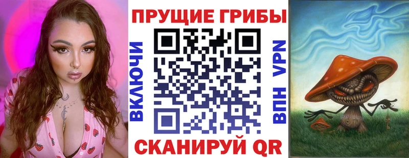 Псилоцибиновые грибы Magic Shrooms  blacksprut зеркало  нарко площадка Telegram  Кузнецк 