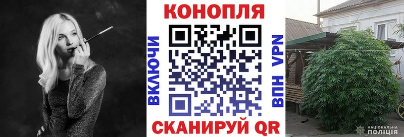 где купить наркоту  Кузнецк  Марихуана VHQ 